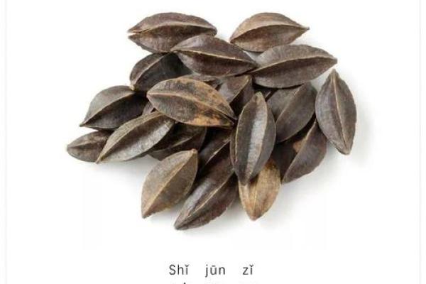胡怡：从名字看背后的文化寓意