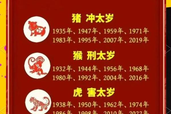 属猪人2023运势大揭秘：惊喜连连，财运亨通