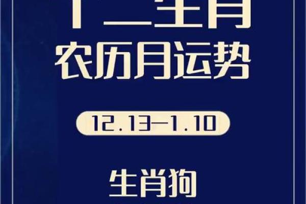 每月运势变化对属狗的影响