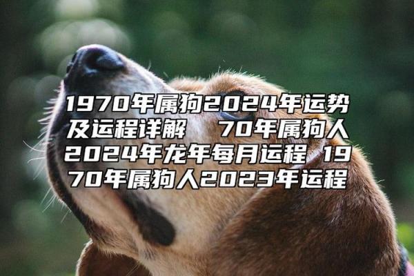 每月运势变化对属狗的影响