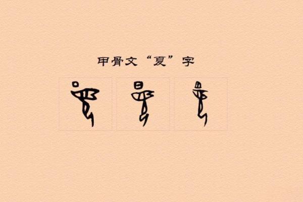 探秘夏字的五行能量