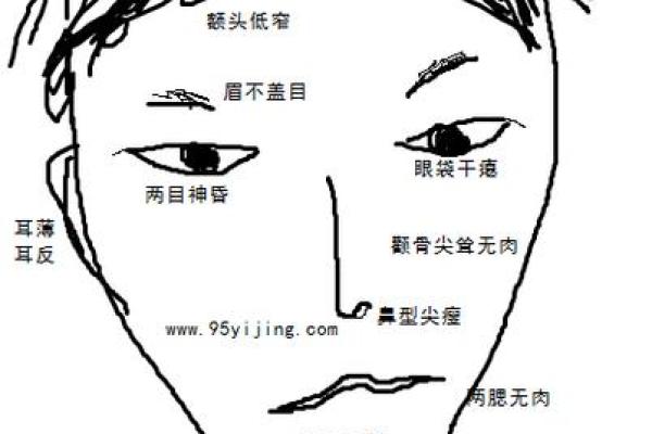 面相奥秘：揭秘脸蛋顺滑者的命运走向