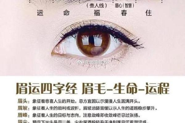 眉毛淡的面相特征与运势解析