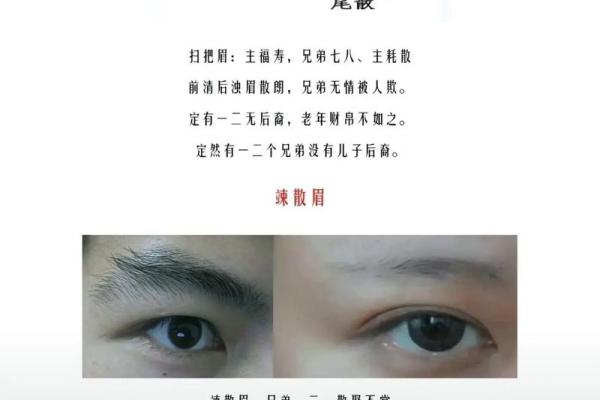 眉毛淡的面相特征与运势解析