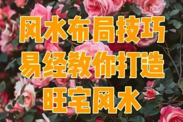 家中风水布局秘法，招财旺运一招就灵