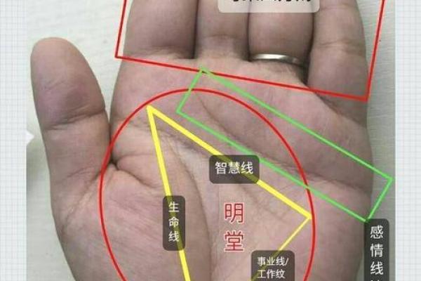 女巨富手相揭秘：财富密码一触即发