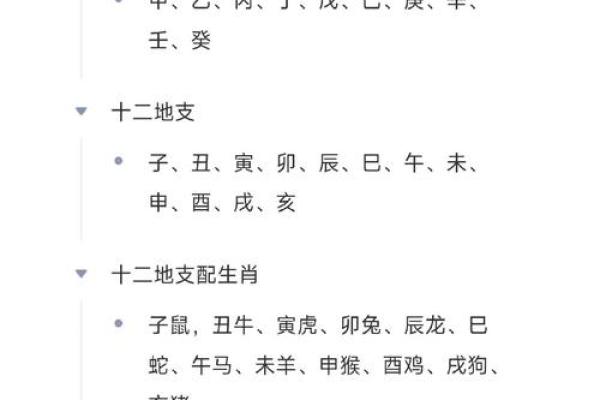 天干地支时辰速算秘籍，轻松掌握时间奥秘