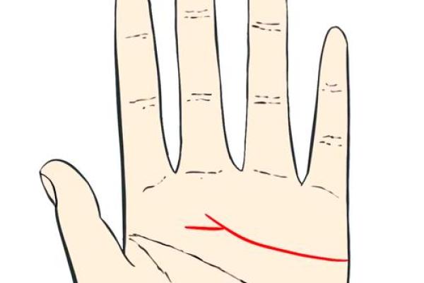 离婚男手相揭秘：哪些特征预示着再次单身？