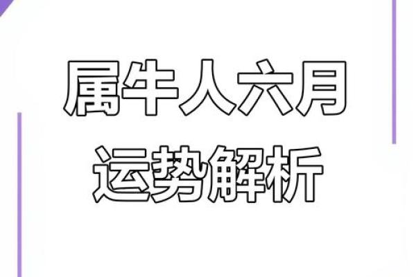 2022牛年运势大揭秘：财富翻倍，爱情美满