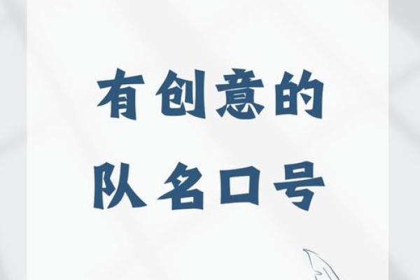 充满创意的战队名字精选
