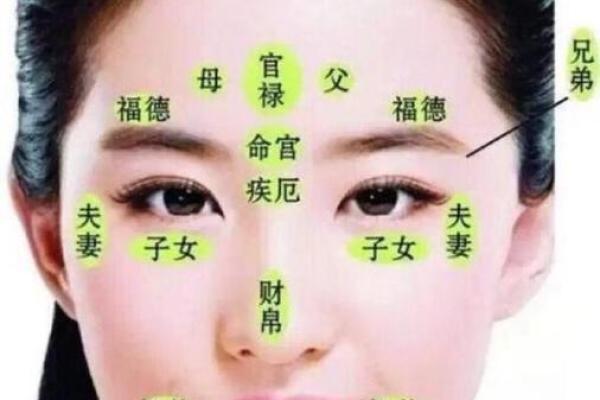 眉毛对个人运势的潜在影响