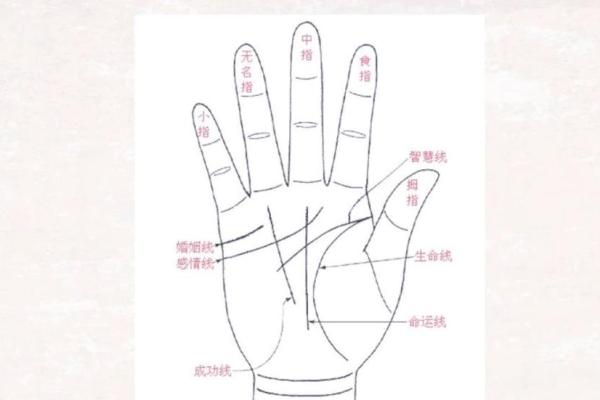手相中的世界窗口：出国纹解读你的全球运势