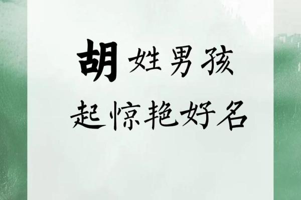 胡姓霸气名字的独特魅力与命名技巧