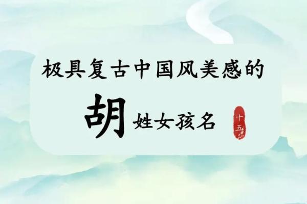 胡姓霸气名字的独特魅力与命名技巧