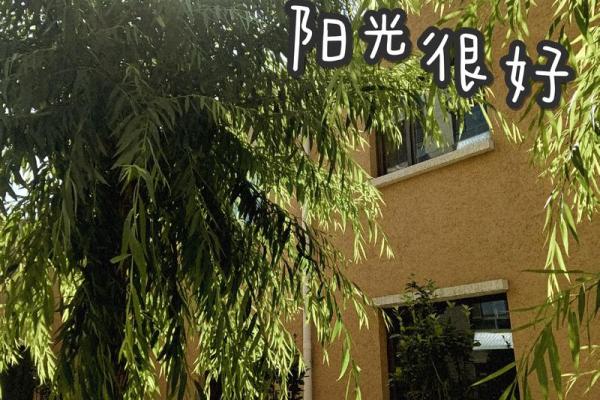 瀹熙宝宝，名字里的阳光与希望