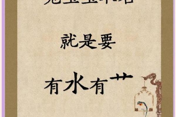 灵动兔宝宝男名