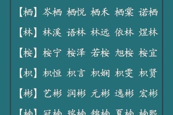 水果灵感：为公司起名带来新鲜创意