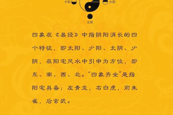 风水学知识全书：免费下载电子书txt版