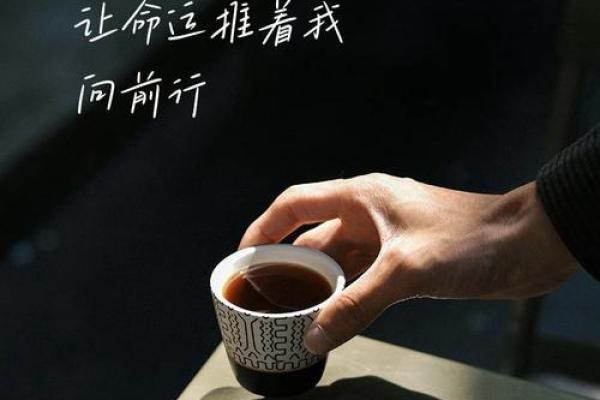 命运之手，揭秘你的命理人生