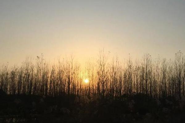 命运之手，揭秘你的命理人生