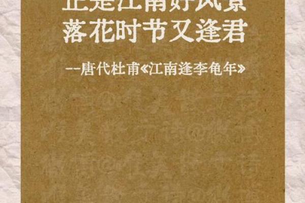 曾江之水润泽人生，名扬四海好运来