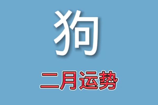 属狗人的月度运势与建议