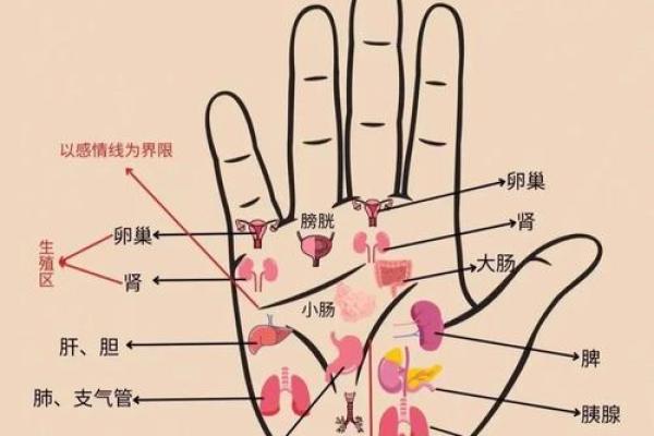 一掌在手，健康我有：手相看病的神奇秘诀