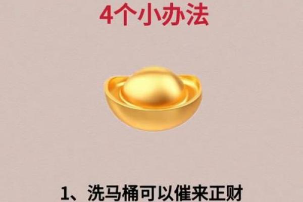 掌握风水秘笈：如何通过布局提升财运健康