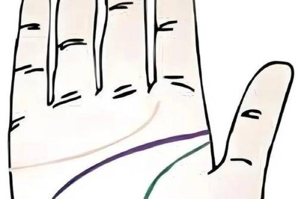 X手相解析：掌握财运人生，一招读懂命运