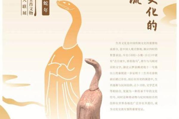 文化生肖的历史渊源与传承价值