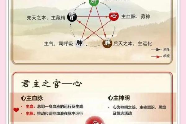 水多五行对健康的影响