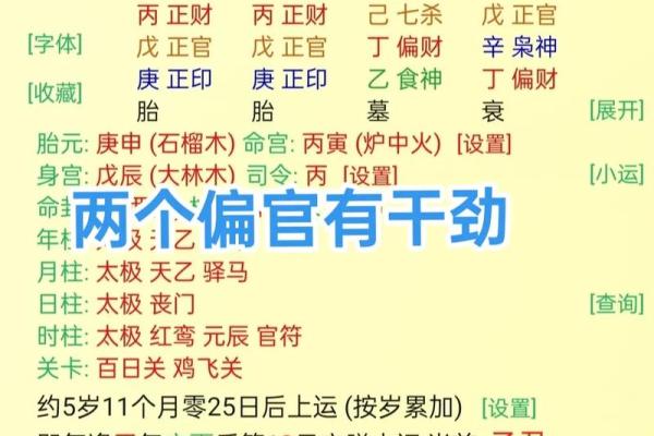 天干正财显富贵，地支伤官展才华
