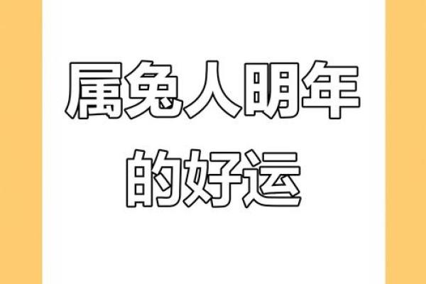 2029年兔年运势大揭秘：87年出生女性2019年转运指南