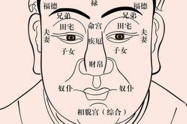 耳垂卷曲：揭秘命运多舛的神秘面相特征