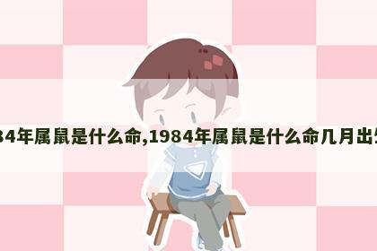 1984年属鼠是什么命,1984年属鼠是什么命几月出生好