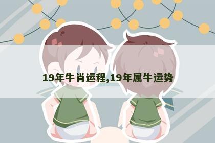 19年牛肖运程,19年属牛运势