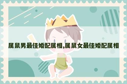 属鼠男最佳婚配属相,属鼠女最佳婚配属相