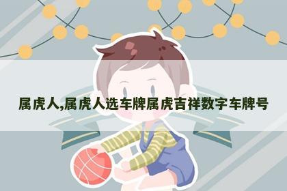 属虎人,属虎人选车牌属虎吉祥数字车牌号