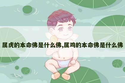 属虎的本命佛是什么佛,属鸡的本命佛是什么佛