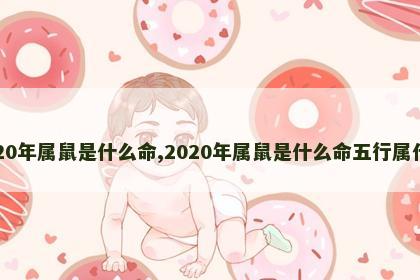 2020年属鼠是什么命,2020年属鼠是什么命五行属什么