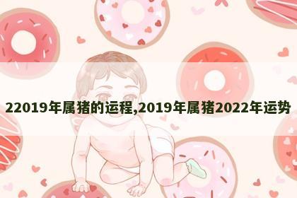 22019年属猪的运程,2019年属猪2022年运势