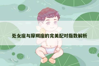 处女座与摩羯座的完美配对指数解析