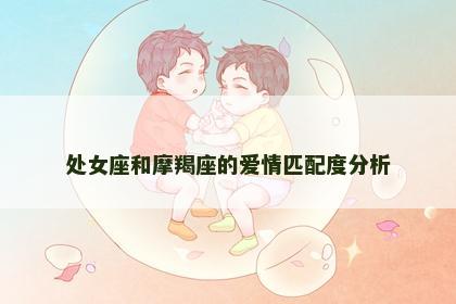 处女座和摩羯座的爱情匹配度分析