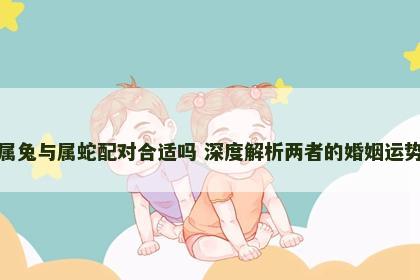 属兔与属蛇配对合适吗 深度解析两者的婚姻运势