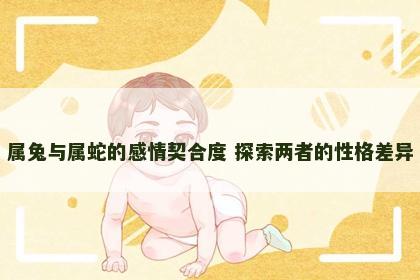 属兔与属蛇的感情契合度 探索两者的性格差异