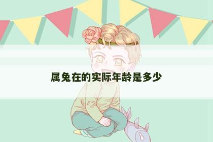属兔在的实际年龄是多少