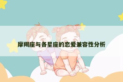 摩羯座与各星座的恋爱兼容性分析