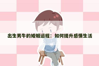 出生男牛的婚姻运程：如何提升感情生活
