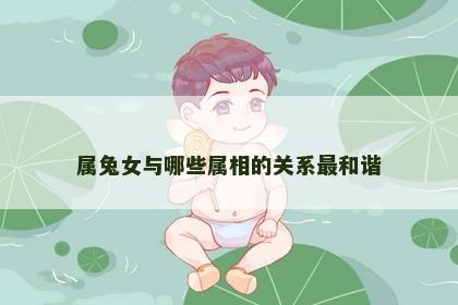 属兔女与哪些属相的关系最和谐