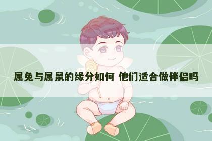 属兔与属鼠的缘分如何 他们适合做伴侣吗